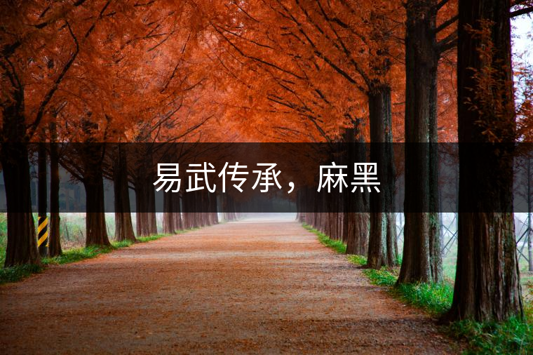 易武傳承，麻黑