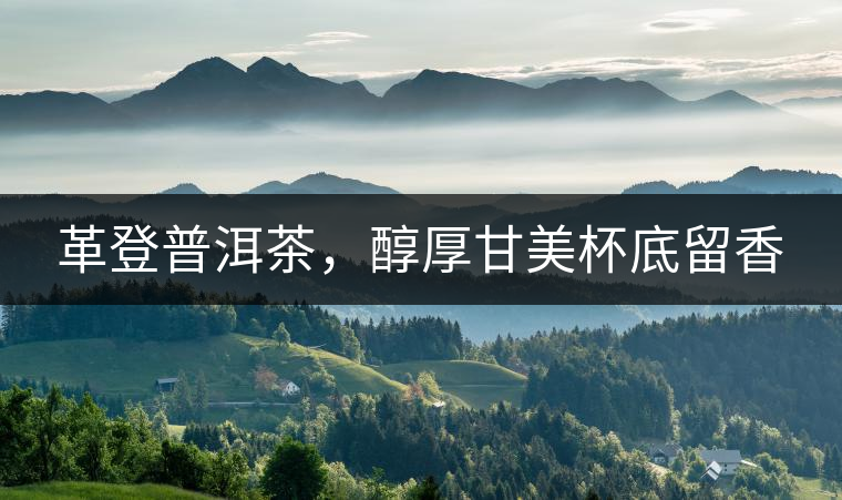 革登普洱茶，醇厚甘美杯底留香