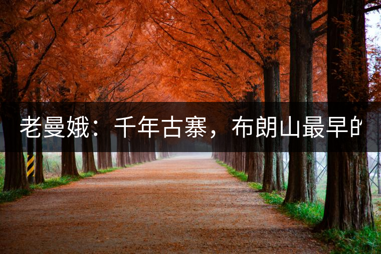 老曼娥：千年古寨，布朗山最早的民族！