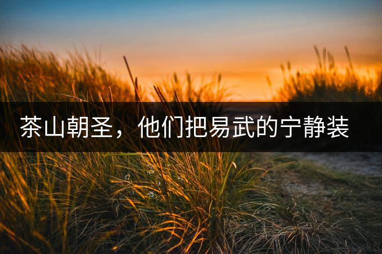 茶山朝圣，他們把易武的寧?kù)o裝進(jìn)心里，卻把成堆垃圾留在