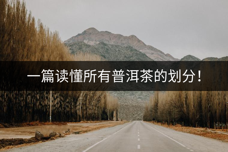 一篇讀懂所有普洱茶的劃分！