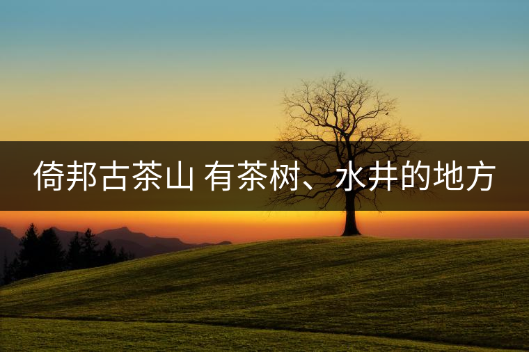 倚邦古茶山 有茶樹、水井的地方