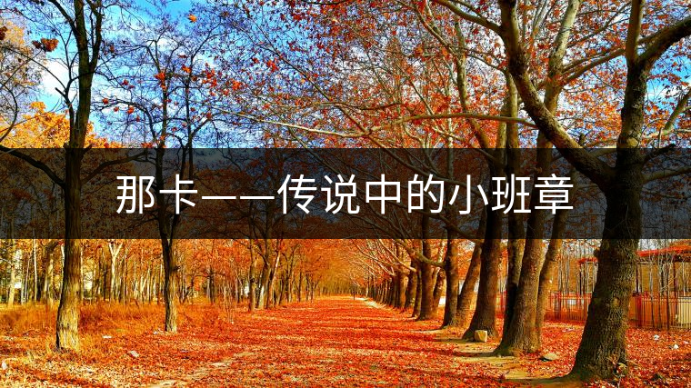 那卡——傳說中的小班章