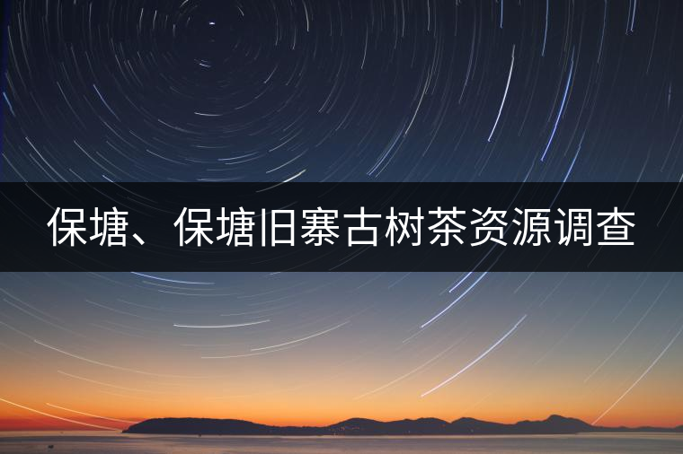 保塘、保塘舊寨古樹(shù)茶資源調(diào)查