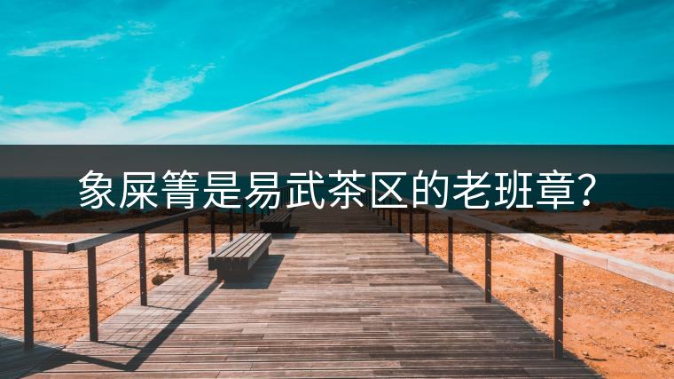 象屎箐是易武茶區(qū)的老班章？