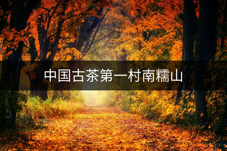 中國(guó)古茶第一村南糯山 中國(guó)古茶第一村南糯山