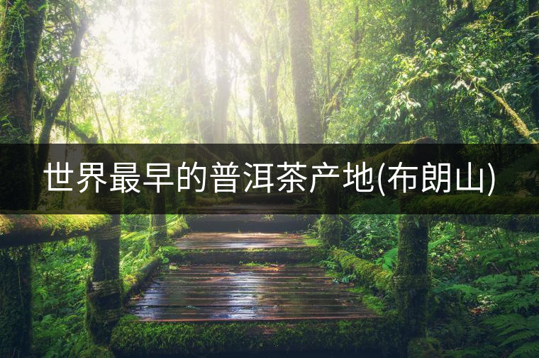 世界最早的普洱茶產(chǎn)地(布朗山)