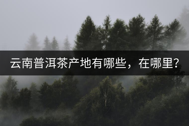 云南普洱茶產(chǎn)地有哪些，在哪里？