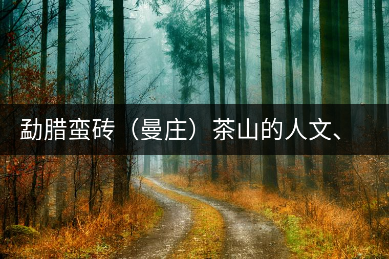 勐臘蠻磚（曼莊）茶山的人文、生態(tài)