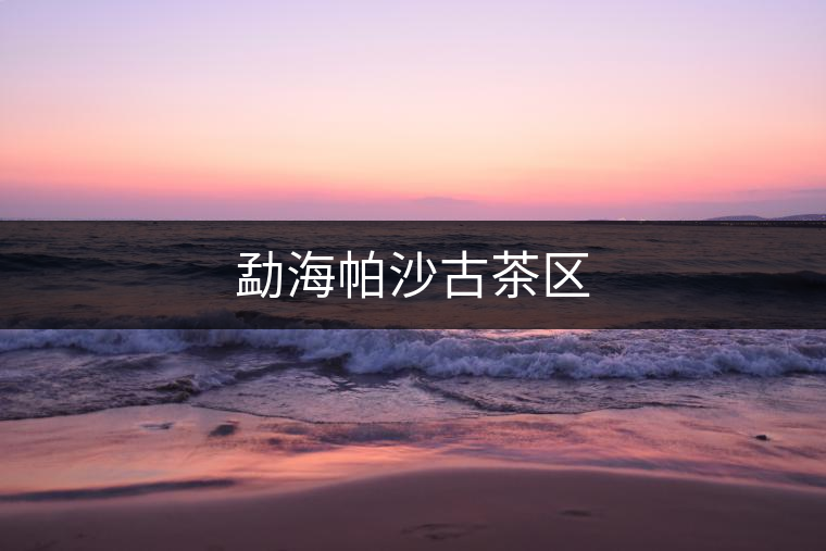 勐海帕沙古茶區(qū) 勐海帕沙古茶區(qū)
