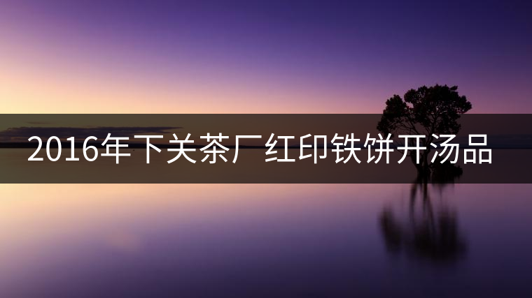 2016年下關(guān)茶廠紅印鐵餅開湯品鑒