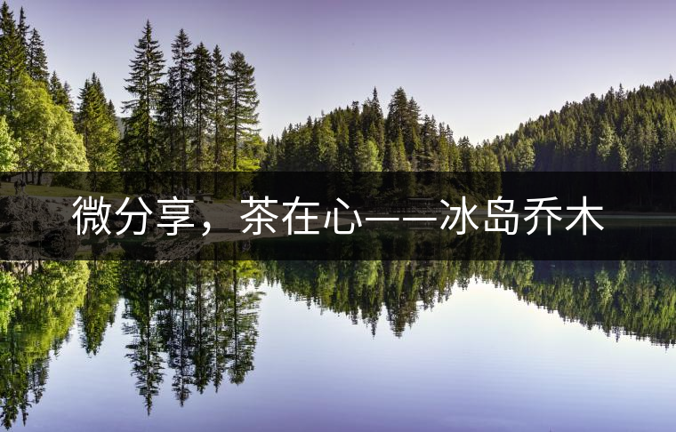 微分享，茶在心——冰島喬木