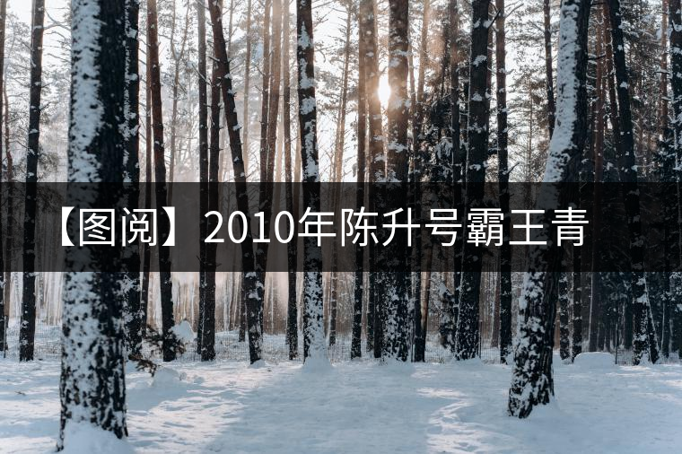 【圖閱】2010年陳升號(hào)霸王青餅開湯 【圖閱】2010年陳升號(hào)霸王青餅開湯