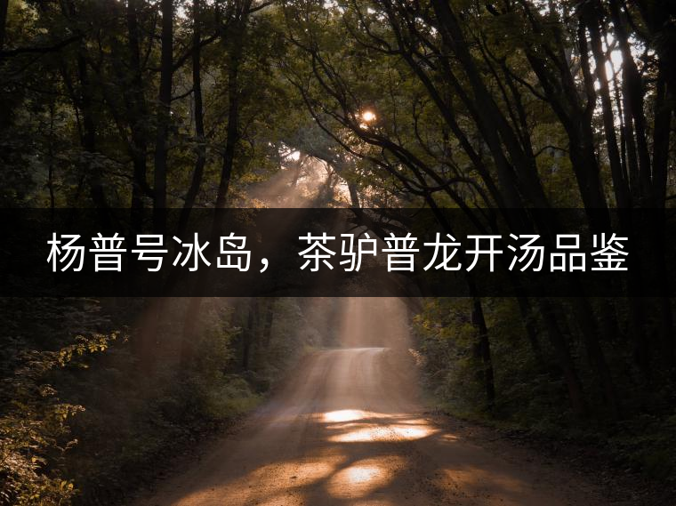 楊普號冰島，茶驢普龍開湯品鑒