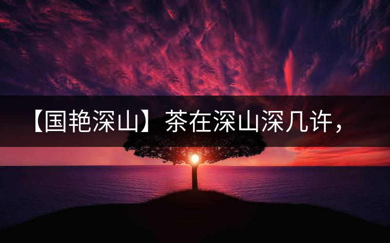 【國(guó)艷深山】茶在深山深幾許，布朗味釅釅幾分！