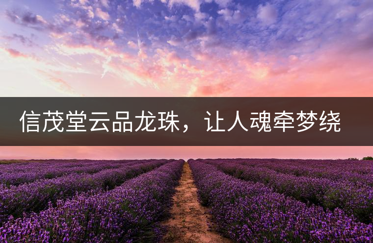 信茂堂云品龍珠，讓人魂?duì)繅衾@的尤物