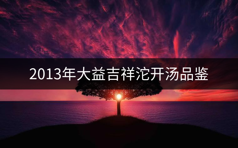 2013年大益吉祥沱開湯品鑒