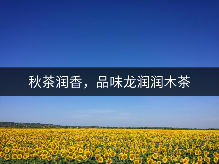 秋茶潤(rùn)香，品味龍潤(rùn)潤(rùn)木茶