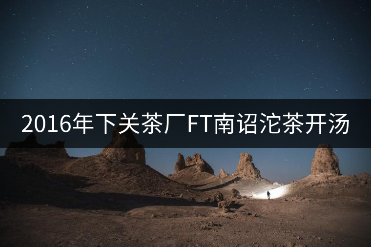 2016年下關(guān)茶廠FT南詔沱茶開湯 2016年下關(guān)茶廠FT南詔沱茶開湯