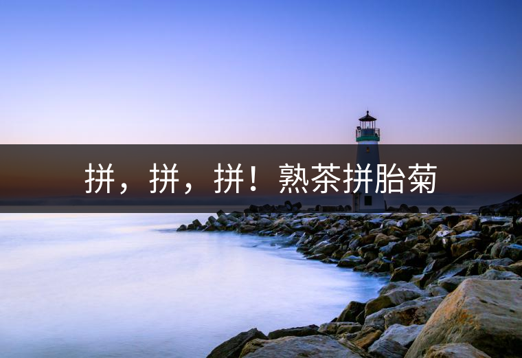 拼，拼，拼！熟茶拼胎菊