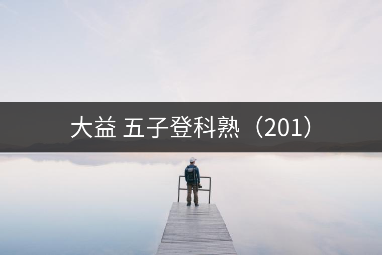 大益 五子登科熟(201) 大益 五子登科熟(201)