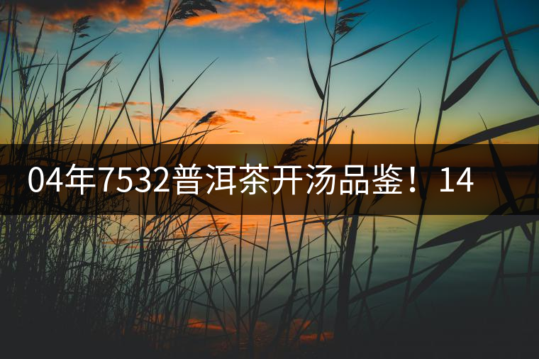 04年7532普洱茶開湯品鑒！14年轉(zhuǎn)化，經(jīng)典雪印配方！