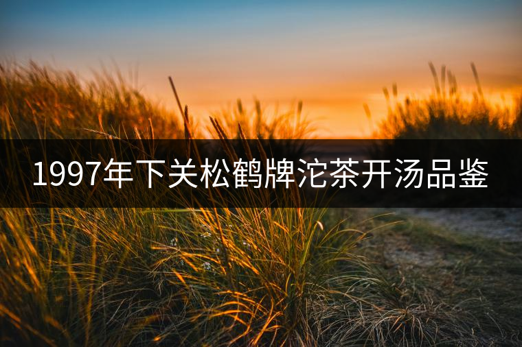 1997年下關(guān)松鶴牌沱茶開湯品鑒