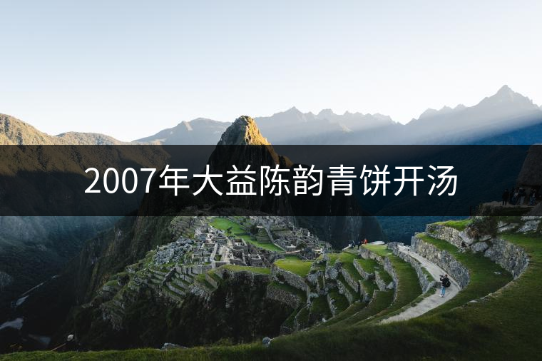 2007年大益陳韻青餅開湯 2007年大益陳韻青餅開湯