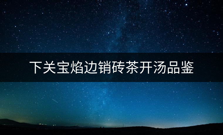 下關(guān)寶焰邊銷(xiāo)磚茶開(kāi)湯品鑒