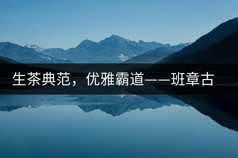 生茶典范，優(yōu)雅霸道——班章古韻