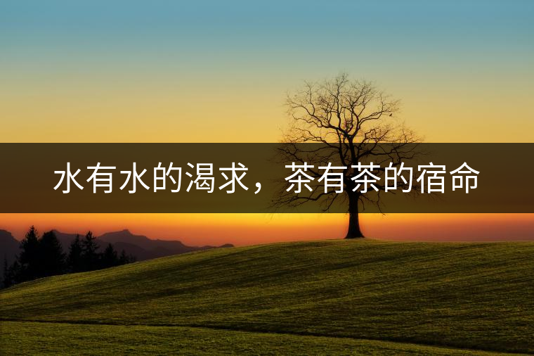水有水的渴求，茶有茶的宿命