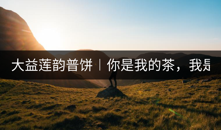 大益蓮韻普餅︱你是我的茶，我是你的人！