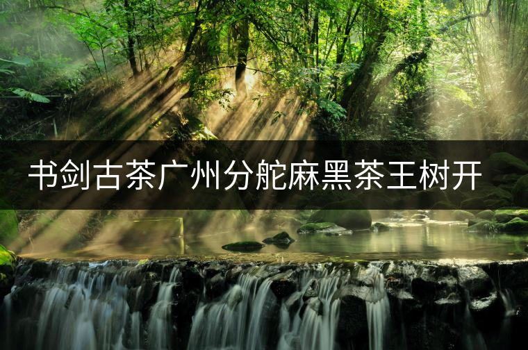 書劍古茶廣州分舵麻黑茶王樹開湯品鑒 書劍古茶廣州分舵麻黑茶王樹開湯品鑒