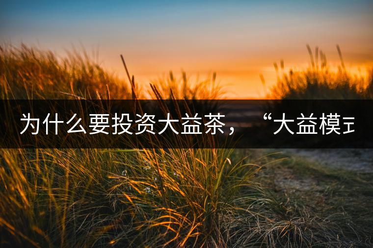 為什么要投資大益茶，“大益模式”告訴你！