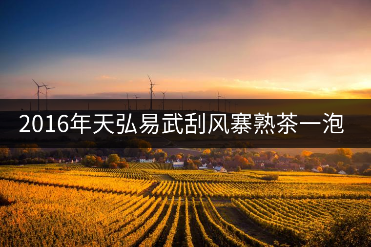 2016年天弘易武刮風寨熟茶一泡耐人尋味！