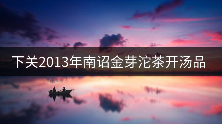 下關2013年南詔金芽沱茶開湯品鑒