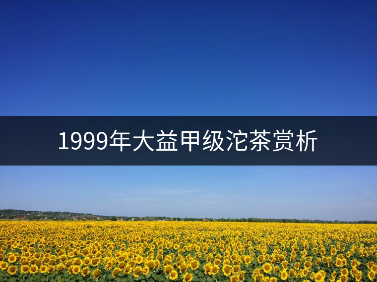 1999年大益甲級沱茶賞析