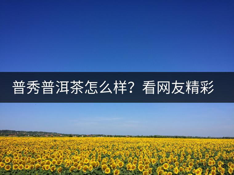 普秀普洱茶怎么樣？看網(wǎng)友精彩回答