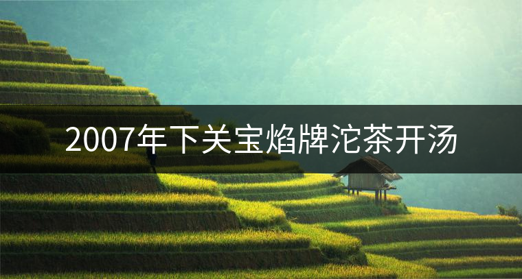 2007年下關(guān)寶焰牌沱茶開湯