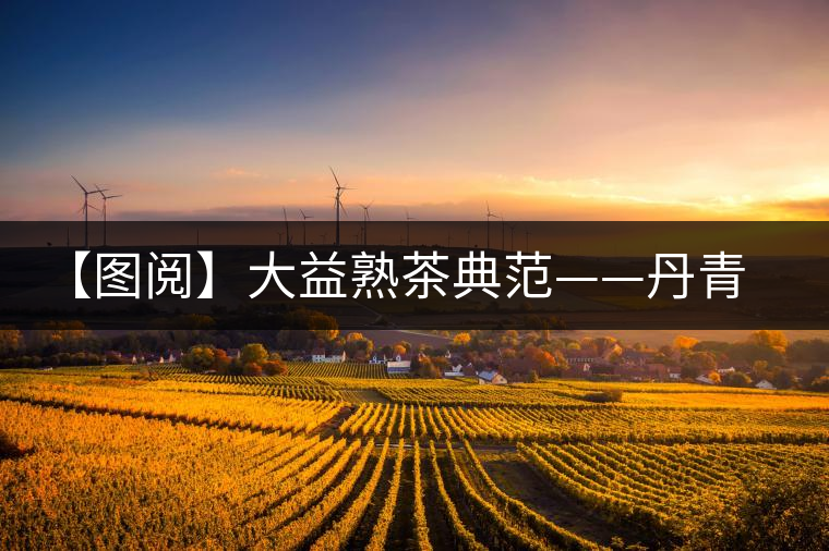 【圖閱】大益熟茶典范——丹青開(kāi)湯 【圖閱】大益熟茶典范——丹青開(kāi)湯