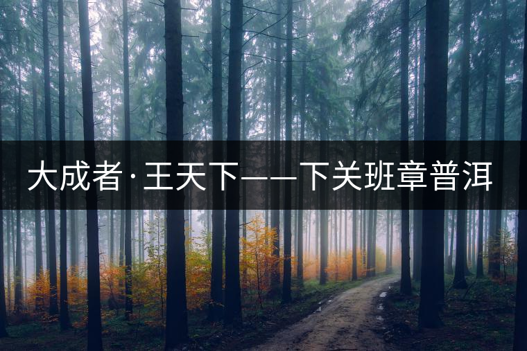 大成者·王天下——下關(guān)班章普洱茶開(kāi)湯品鑒