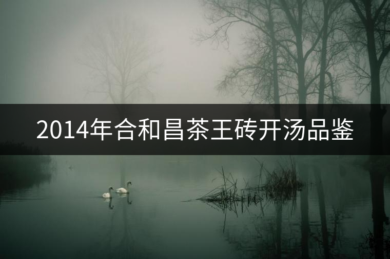 2014年合和昌茶王磚開(kāi)湯品鑒 2014年合和昌茶王磚開(kāi)湯品鑒