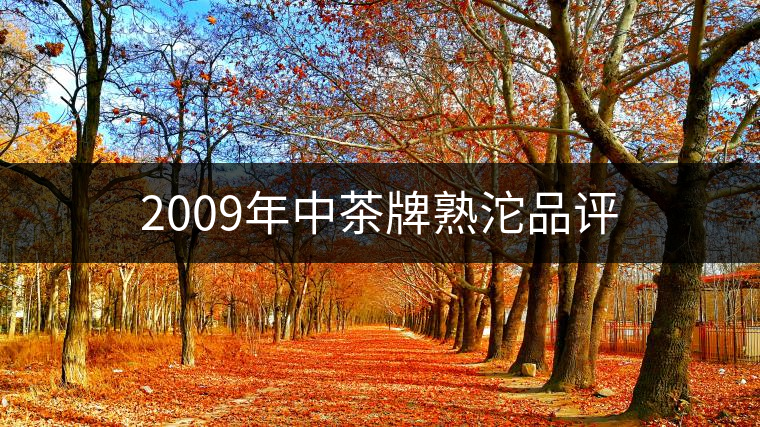 2009年中茶牌熟沱品評(píng) 2009年中茶牌熟沱品評(píng)