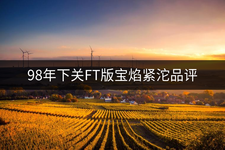 98年下關(guān)FT版寶焰緊沱品評(píng) 98年下關(guān)FT版寶焰緊沱品評(píng)