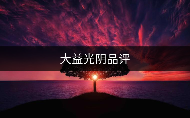 大益光陰品評(píng)