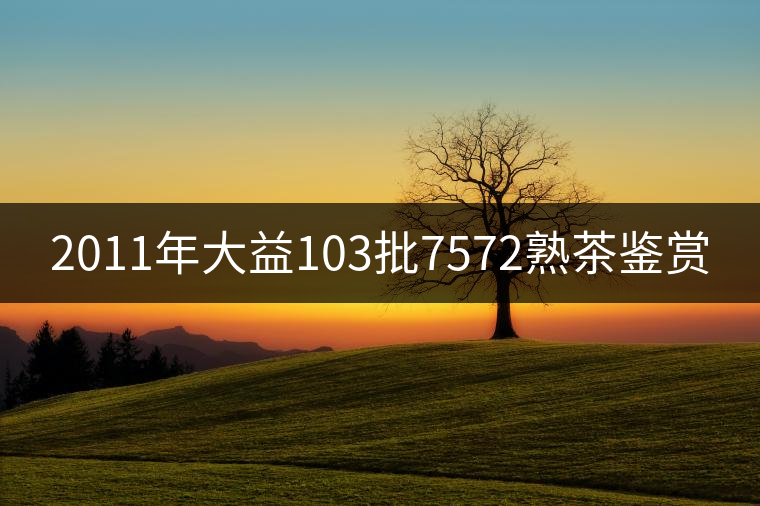 2011年大益103批7572熟茶鑒賞 2011年大益103批7572熟茶鑒賞