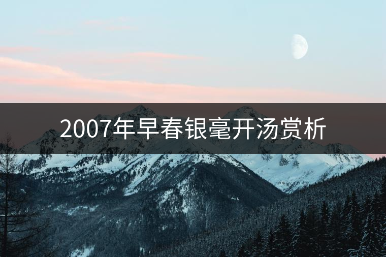 2007年早春銀毫開(kāi)湯賞析