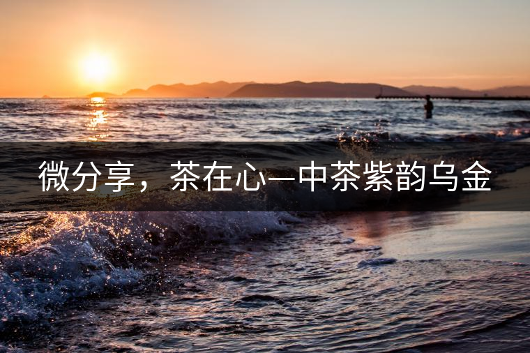 微分享，茶在心—中茶紫韻烏金
