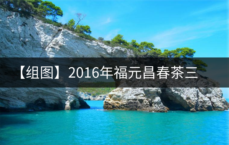 【組圖】2016年福元昌春茶三月拔瑪小餅開湯 【組圖】2016年福元昌春茶三月拔瑪小餅開湯