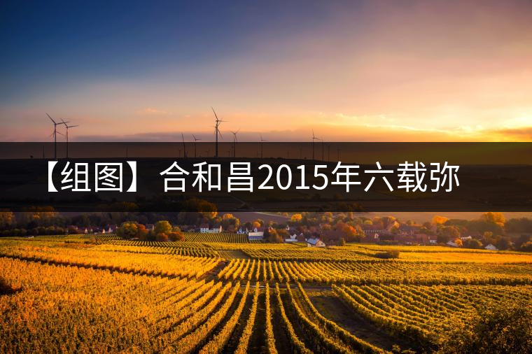 【組圖】合和昌2015年六載彌臻開湯